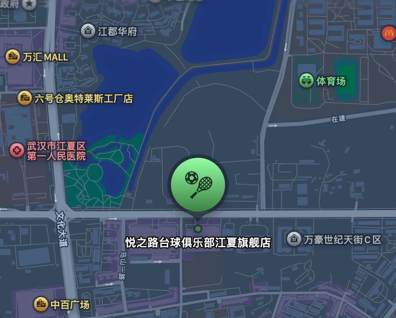 武汉江夏悦之路台球厅被一锅端 近60名女助教全被抓 特殊服务视频传疯了！