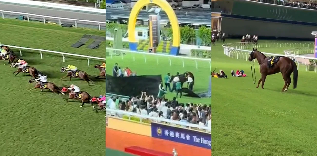 香港跑马地惊现连环坠马！四季醒当场骨裂被安乐死两骑师受伤送医