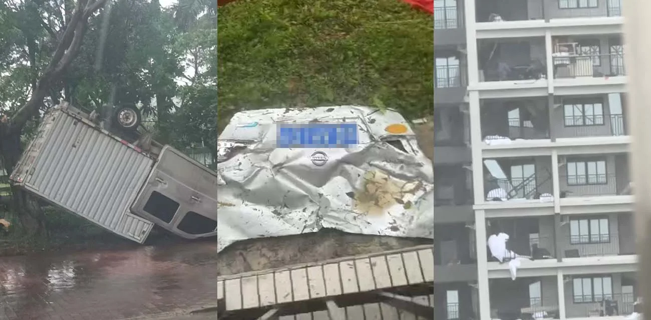阳江台风风波 网友发文称给全家人都刮晕了 整个楼都在晃 这天灾真是躲不过去啊