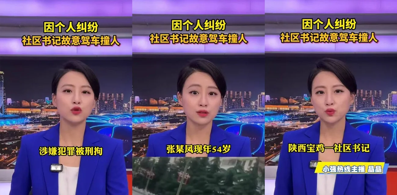 人大代表张春凤开车撞人现场疯传  警方通报曝光过程  简直现实版侠盗飞车