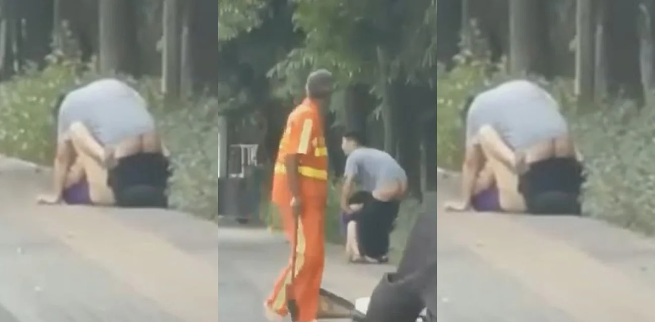 现在的人真是太癫了  情侣大马路绿化带旁毫不避人当众干起来  吃瓜群众惊呆